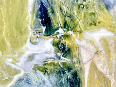 Dreaming Green