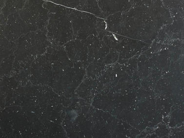 Negro Marquino